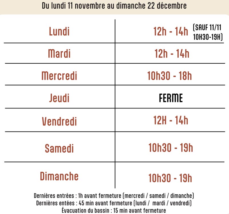 Planning bassin de nage