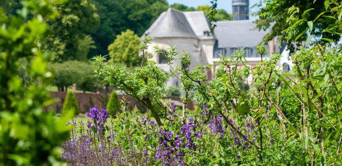 Les comestibles méconnues des Jardins