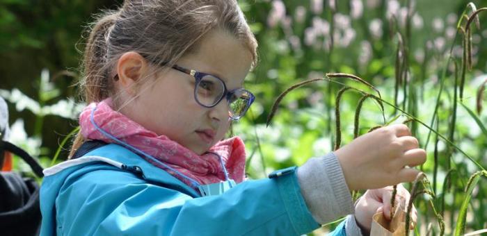 Ramenez votre fraise aux Jardins